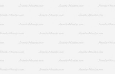 Maecenas sollicitudin